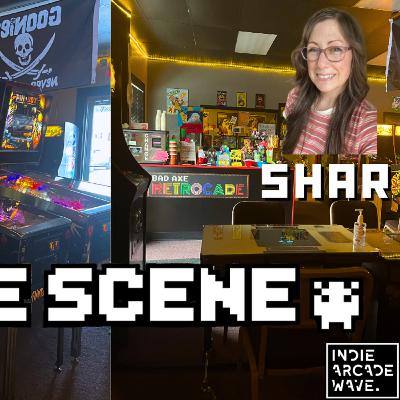 Running A Rural Arcade Business in Small Town America, Bad Axe Retrocade with Shar | Ep 179