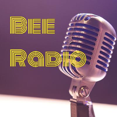 Bee Radio Pilot