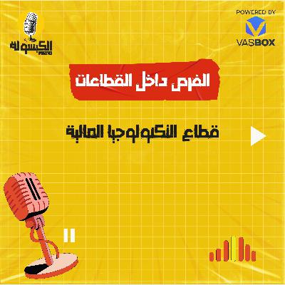 قطاع التكنولوجيا المالية قطاع التكنولوجيا المالية
