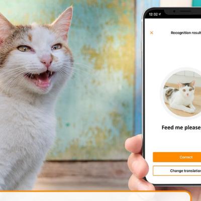 Papo Sobre Pets - Aplicativo promete traduzir miados do seu gato Papo Sobre Pets - Aplicativo promete traduzir miados do seu gato