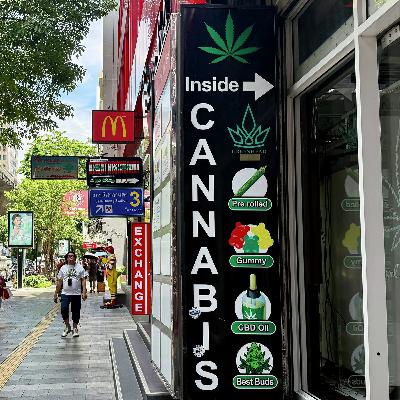 Behind Thailand’s Push to Recriminalize Cannabis Behind Thailand’s Push to Recriminalize Cannabis