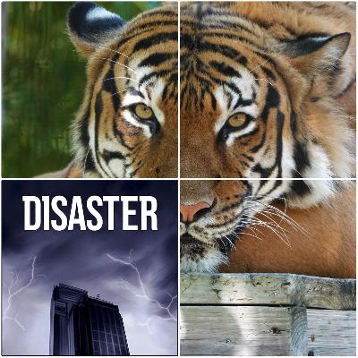 28: Tiger