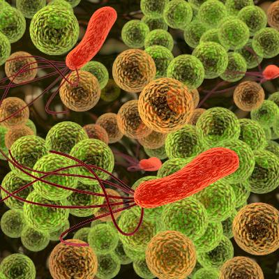Ep. 40 - Microbes and the Human Gut Ep. 40 - Microbes and the Human Gut