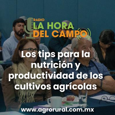 Programa del 260425: los tips para la nutrición y productividad de los cultivos agrícolas Programa del 260425: los tips para la nutrición y productividad de los cultivos agrícolas