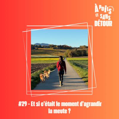 Ep 29 - Et si c’était le moment d’agrandir la meute ? Ep 29 - Et si c’était le moment d’agrandir la meute ?