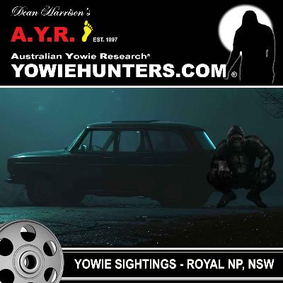 Yowie Sightings at the Royal National Park, New South Wales (3 Sightings)