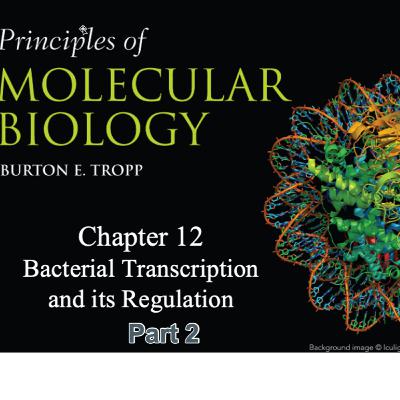 Bacterial Transcription and Its Regulation Part 2 Tropp Chapter 12