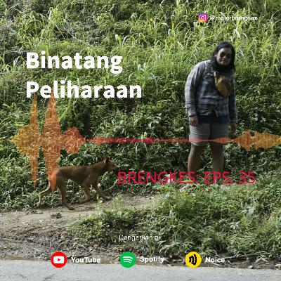 Eps. 35: Hewan Peliharaan