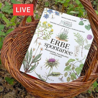 Erbe spontanee commestibili. Raccolti di maggio, con Wateki Taliana Tobert