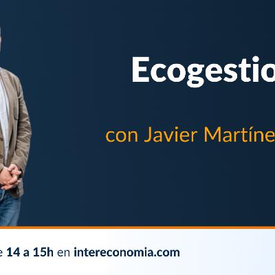 Ecogestiona, Navidades Sostenibles