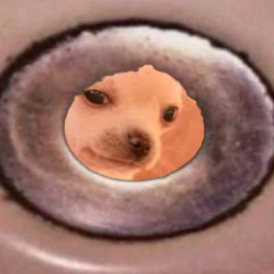 I cry at night & Sink dog I cry at night & Sink dog