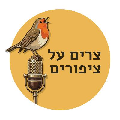 מפה מנטלית עם קרן אור ואלדד גולן