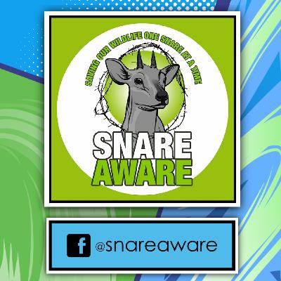 Snare Aware #6 Bi-Weekly Update