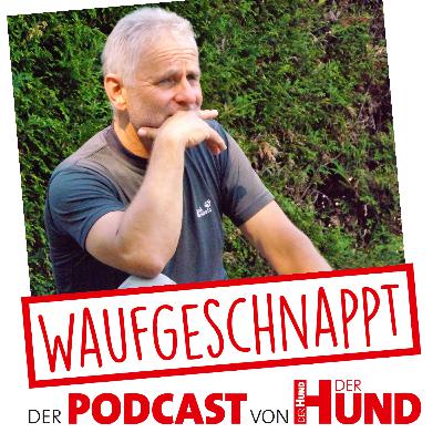 Domestikation & Rassehunde - Gerd Leder