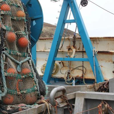 Alaska Fisheries Report 12 February 2026