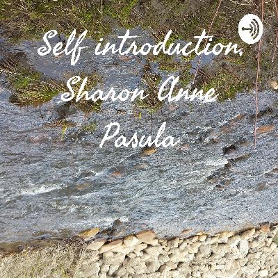 Self introduction - to give context for future podcast.