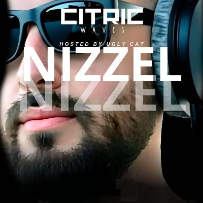 Waves NPI T06 E14 Nizzel II