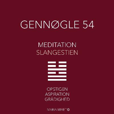 Gennøgle 54 Gennøgle 54
