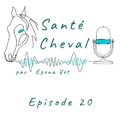 Ep. 20 – Gestion des chevaux à ulcères gastriques
