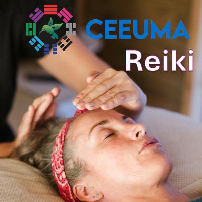 Reiki. Episodio 1