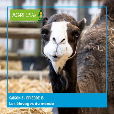 Les élevages du monde