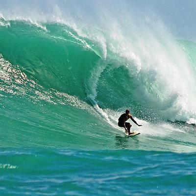 Importância do esporte Importância do esporte