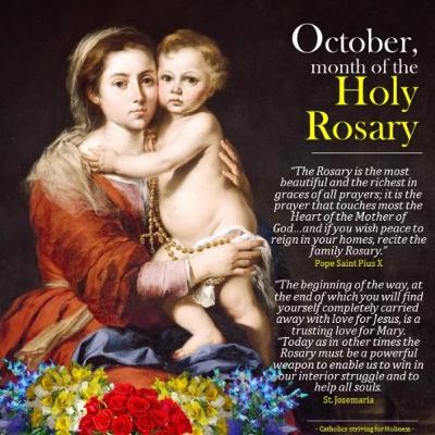 "Increase our faith." Homily for 27th Sunday in Ordinary Time, October 5, 2026