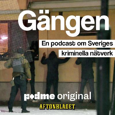 Turebergs-nätverket: Familjen som styrt i över 50 år