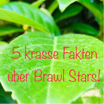 #19| Fünf 𝙺𝚛𝚊𝚜𝚜𝚎. Fakten über Brawl Stars und Supercell.😱
