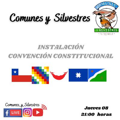 Comunes y Silvestres: Instalación de la Convención Constitucional