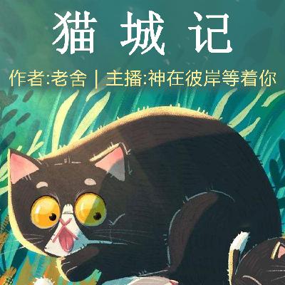 猫城记 013