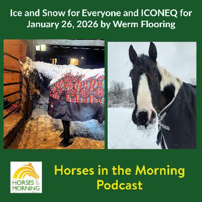 Ice and Snow for Everyone and ICONEQ for January 26, 2026 by WERM Flooring Ice and Snow for Everyone and ICONEQ for January 26, 2026 by WERM Flooring
