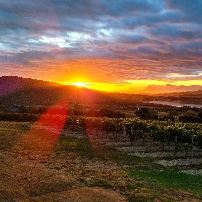 פרק 92 - שמש - 4 האלמנטים בכרם פרק 92 - שמש - 4 האלמנטים בכרם