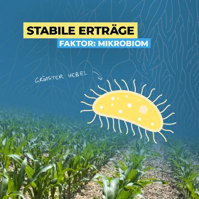 Der größte Hebel für stabile Erträge