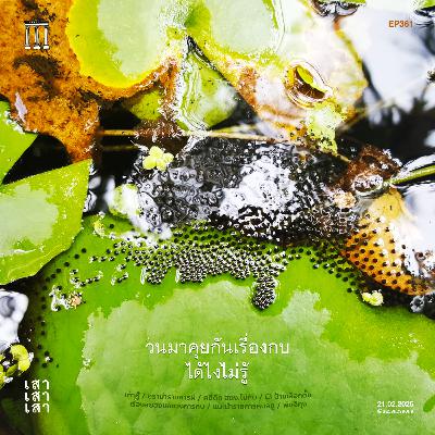 เสาเสาเสา 361 : วนมาคุยเรื่องกบได้ไงไม่รู้ #ช่างเถอะ
