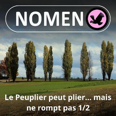 S04E40 Le Peuplier tremble... mais ne rompt pas 1/2