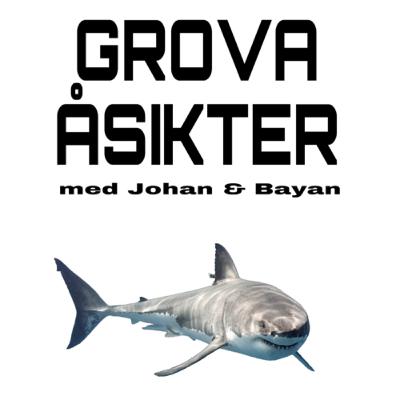 Palestina - Israel med Ragáa Palestina - Israel med Ragáa