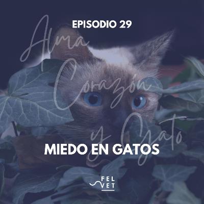 EPISODIO 29: Miedo en Gatos y Cómo Afrontarlo
