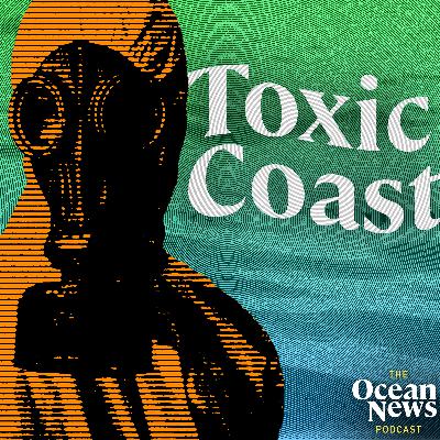 "Worrying levels" of banned chemicals found in UK waters - The Ocean News Podcast