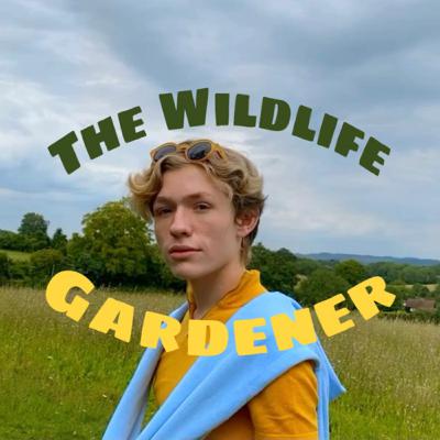 Wildlife Gardening Wildlife Gardening