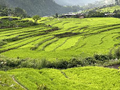 Episode 71: The biodiverse splendour of Bhutan