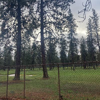 1.251🎵Good Riddance/Hell of a Year/My Own Worst Enemy covers