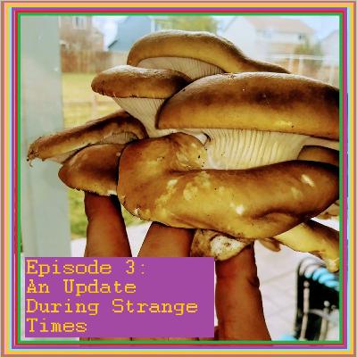 An Update During Strange Times
