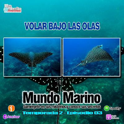 VOLAR BAJOS LAS OLAS