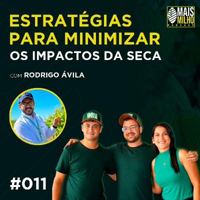 #011 - RODRIGO ÁVILA: ESTRATÉGIAS PARA MINIMIZAR OS IMPACTOS DA SECA