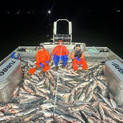Episode 486 - A Father-Son Fishing Legacy on Bristol Bay