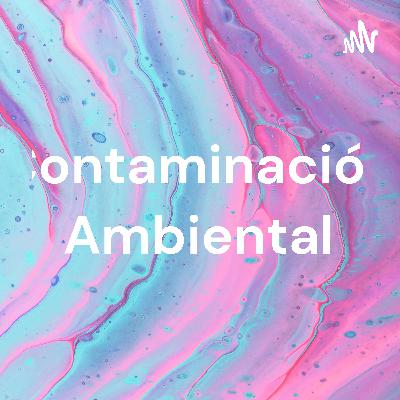 La contaminación del aire