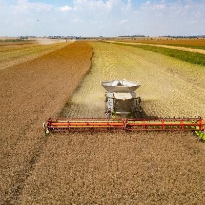 Weniger Bürokratie, mehr Geld: EU will Landwirte weiter entlasten Weniger Bürokratie, mehr Geld: EU will Landwirte weiter entlasten