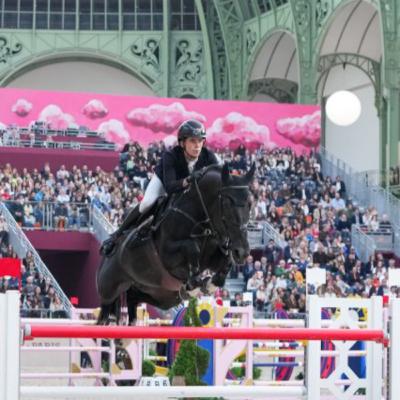 EQUTALK 20: "Het is moeilijk toppaarden voor de sport te houden, misschien moeten we volgende overwegen?..." EQUTALK 20: "Het is moeilijk toppaarden voor de sport te houden, misschien moeten we volgende overwegen?..."