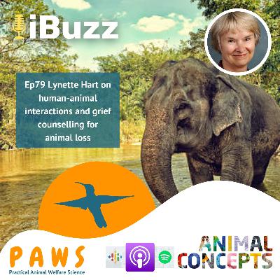 Ep79 Lynette Hart on human-animal interactions and grief counselling for animal loss